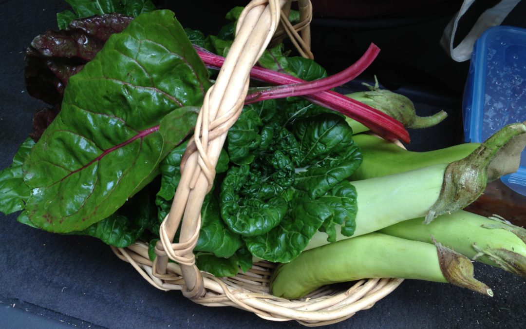 garden basket