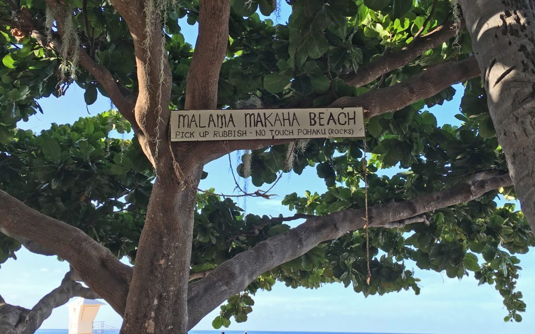 Malama Makaha -not Out of Reach