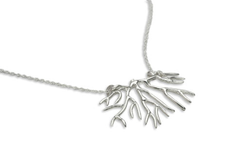 bryozoan necklace closeup