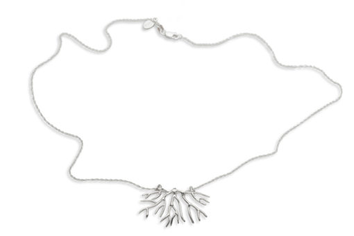 bryozoan necklace whole