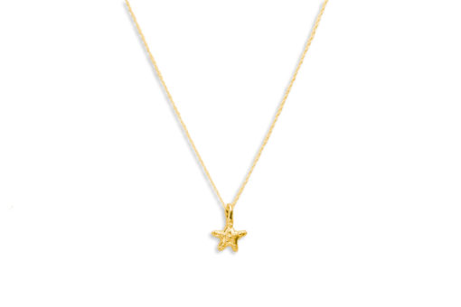 knobby sea star necklace, front gold