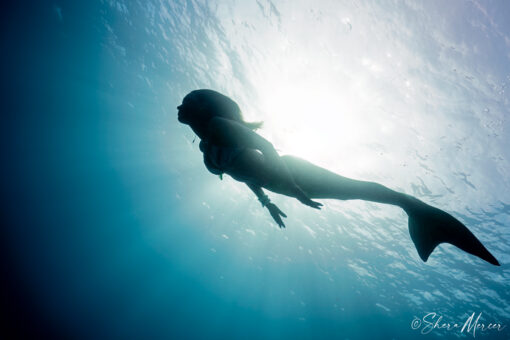 Alohi Kai mermaid photo