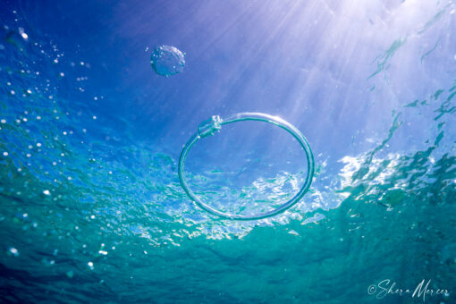 Bubble Ring at surface