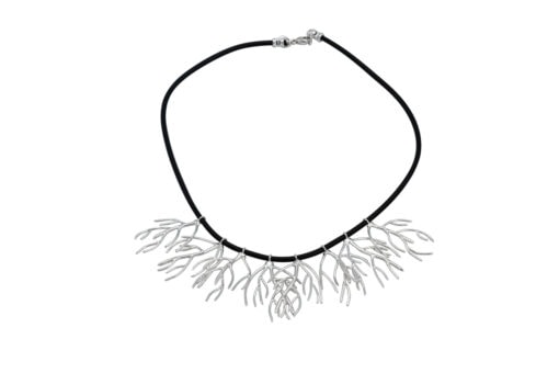 sea fan hydroid choker on white background